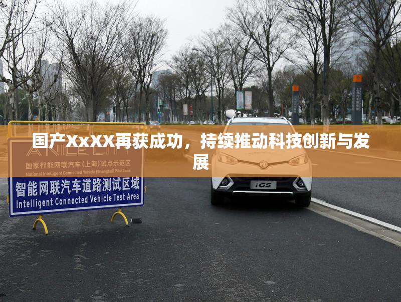 国产XxXX再获成功，持续推动科技创新与发展