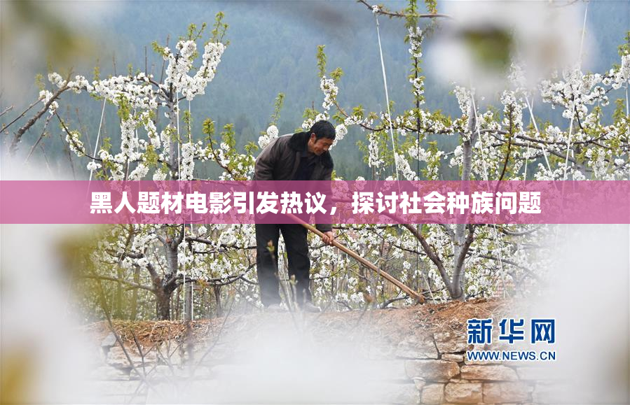 黑人题材电影引发热议，探讨社会种族问题