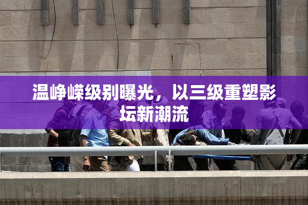 温峥嵘级别曝光，以三级重塑影坛新潮流