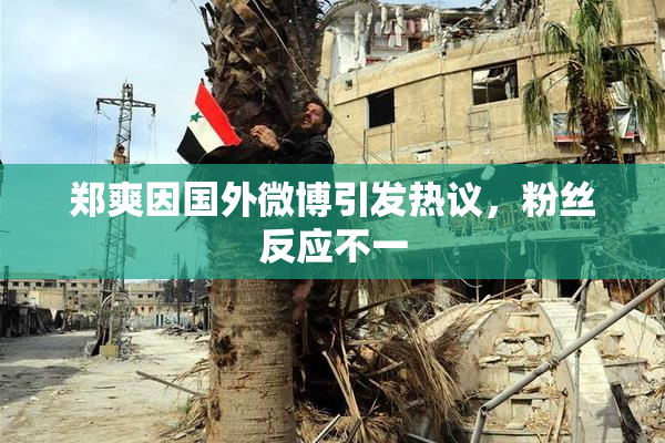 郑爽因国外微博引发热议，粉丝反应不一
