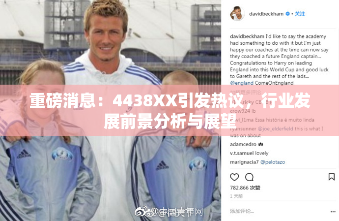 重磅消息：4438XX引发热议，行业发展前景分析与展望