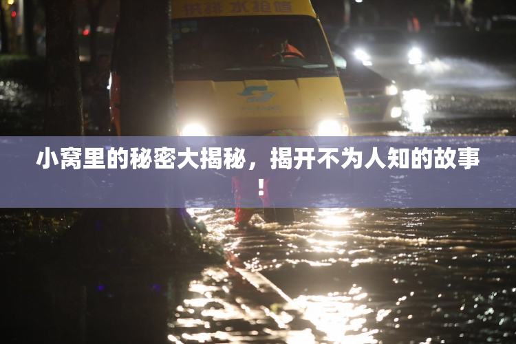 小窝里的秘密大揭秘，揭开不为人知的故事！