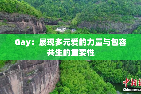 Gay：展现多元爱的力量与包容共生的重要性