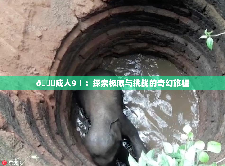 🔞成人9Ⅰ：探索极限与挑战的奇幻旅程
