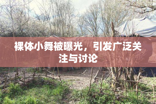 裸体小舞被曝光，引发广泛关注与讨论