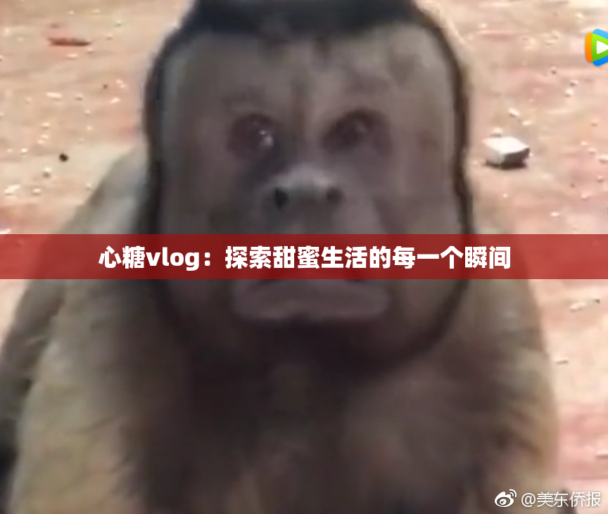 心糖vlog：探索甜蜜生活的每一个瞬间