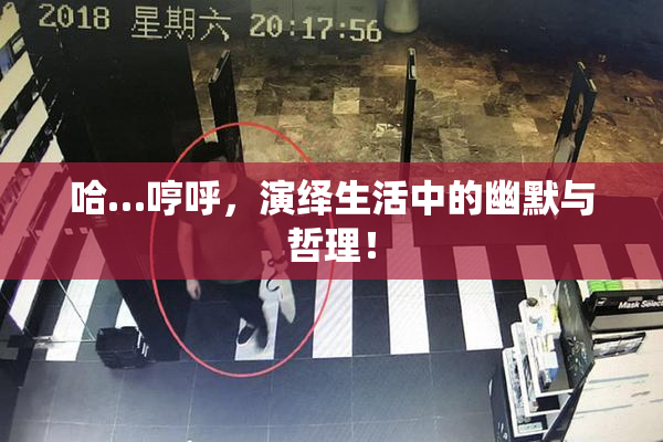哈…哼呼，演绎生活中的幽默与哲理！