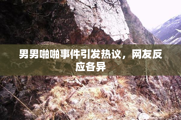 男男啪啪事件引发热议，网友反应各异