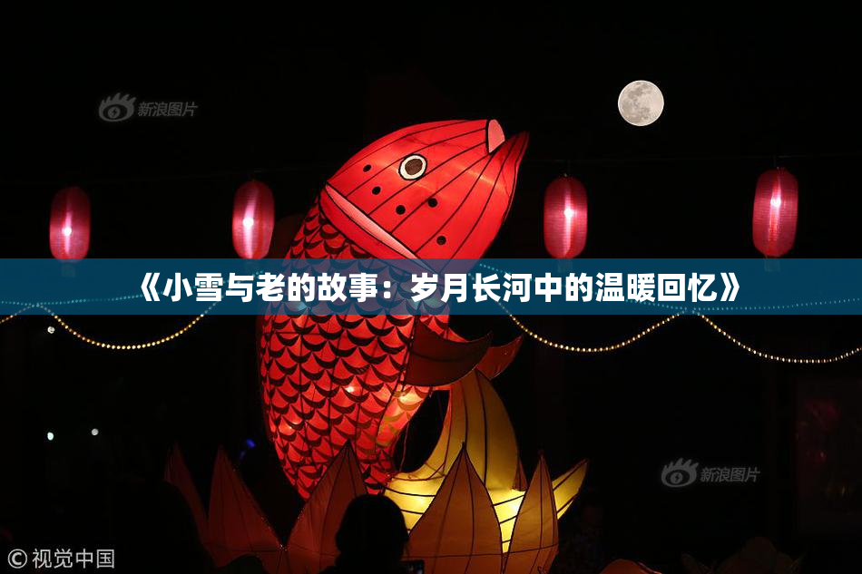 《小雪与老的故事：岁月长河中的温暖回忆》