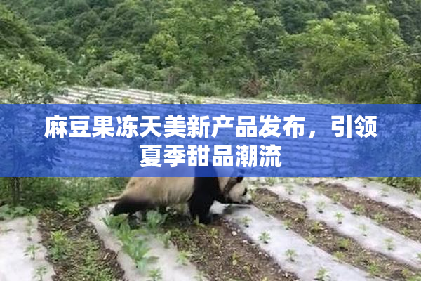 麻豆果冻天美新产品发布，引领夏季甜品潮流