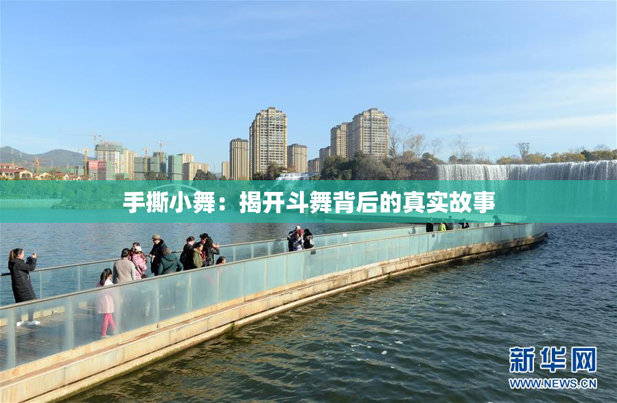 手撕小舞：揭开斗舞背后的真实故事