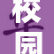校园绽放樱花的美丽瞬间全景展现