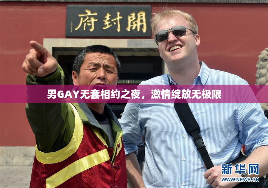 男GAY无套相约之夜，激情绽放无极限
