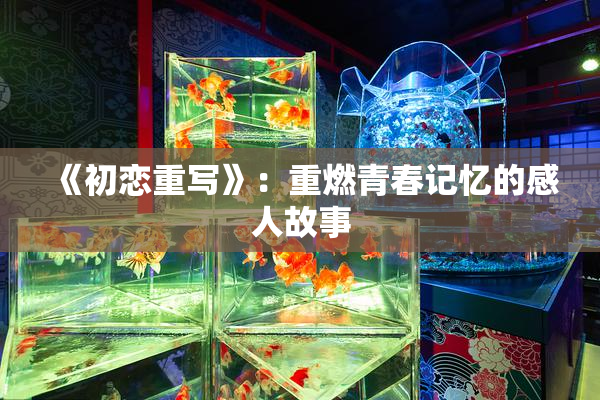 《初恋重写》：重燃青春记忆的感人故事