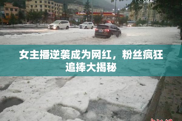女主播逆袭成为网红，粉丝疯狂追捧大揭秘