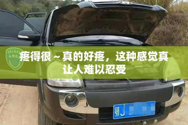 疼得很～真的好疼，这种感觉真让人难以忍受