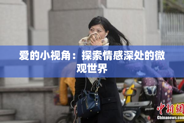 爱的小视角：探索情感深处的微观世界