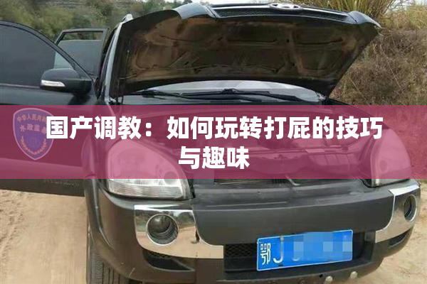 国产调教：如何玩转打屁的技巧与趣味