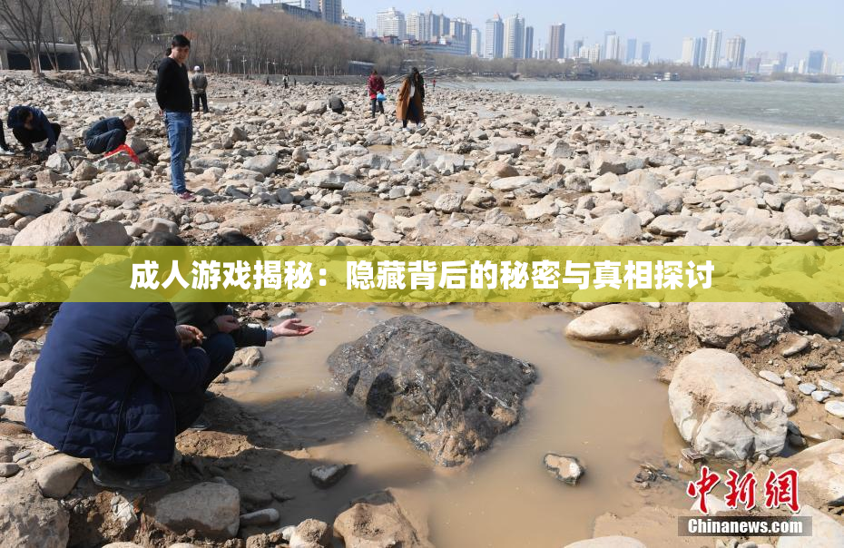 成人游戏揭秘：隐藏背后的秘密与真相探讨