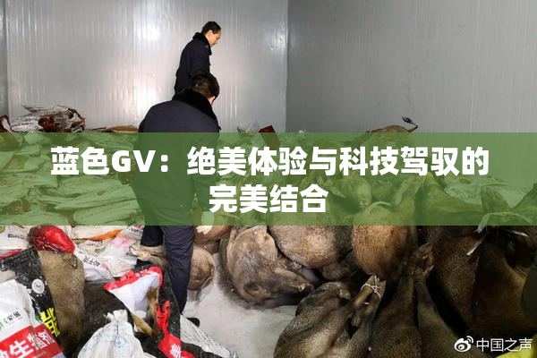 蓝色GV：绝美体验与科技驾驭的完美结合