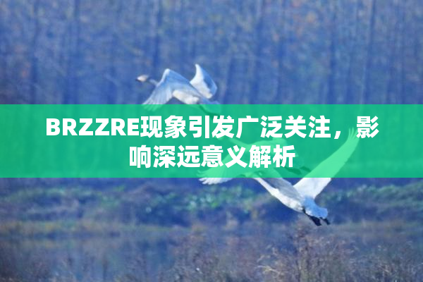 BRZZRE现象引发广泛关注，影响深远意义解析