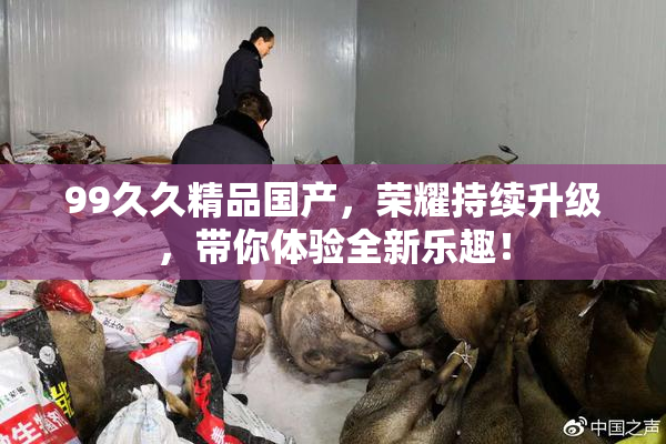 99久久精品国产，荣耀持续升级，带你体验全新乐趣！