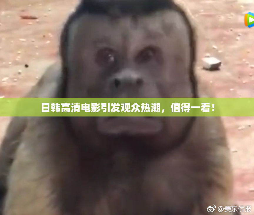 日韩高清电影引发观众热潮，值得一看！