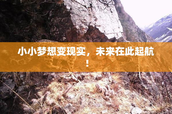 小小梦想变现实，未来在此起航！