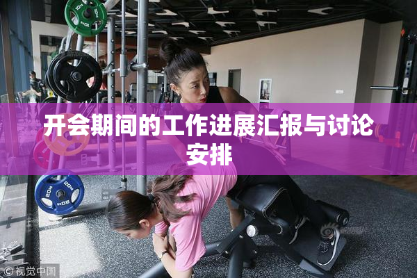 开会期间的工作进展汇报与讨论安排
