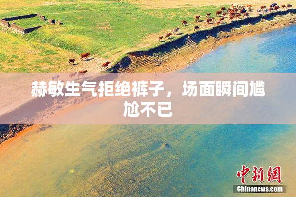 赫敏生气拒绝裤子，场面瞬间尴尬不已