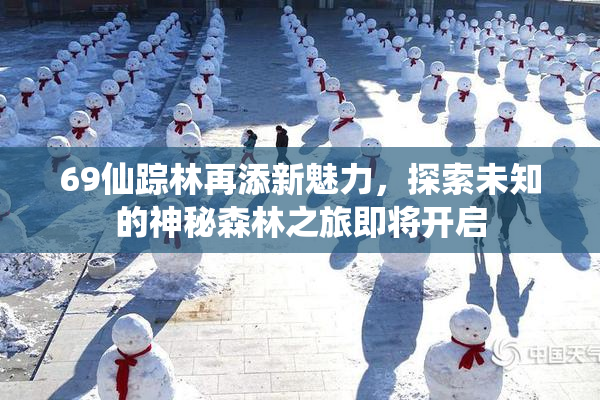 69仙踪林再添新魅力，探索未知的神秘森林之旅即将开启