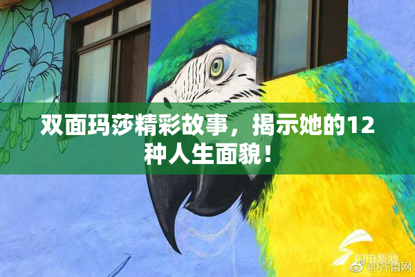 双面玛莎精彩故事，揭示她的12种人生面貌！