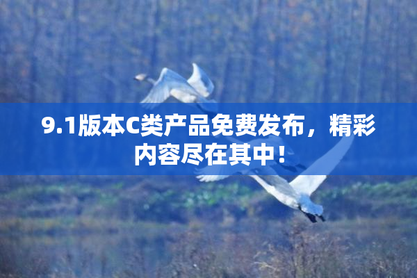 9.1版本C类产品免费发布，精彩内容尽在其中！