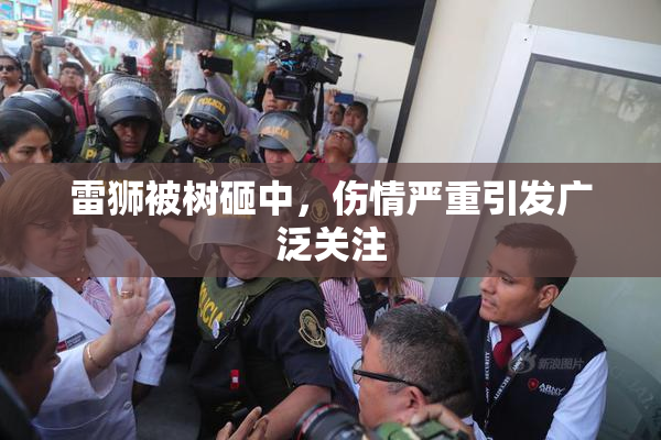 雷狮被树砸中，伤情严重引发广泛关注