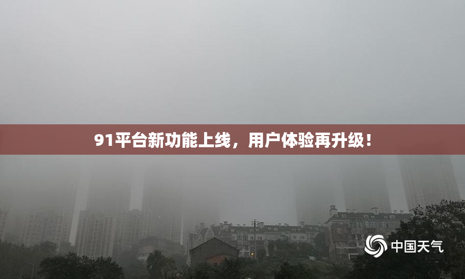 91平台新功能上线，用户体验再升级！