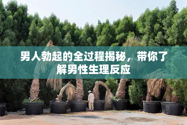 男人勃起的全过程揭秘，带你了解男性生理反应