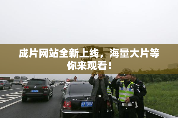 成片网站全新上线，海量大片等你来观看！