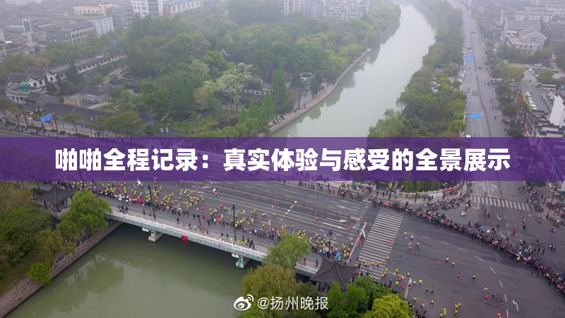 啪啪全程记录：真实体验与感受的全景展示