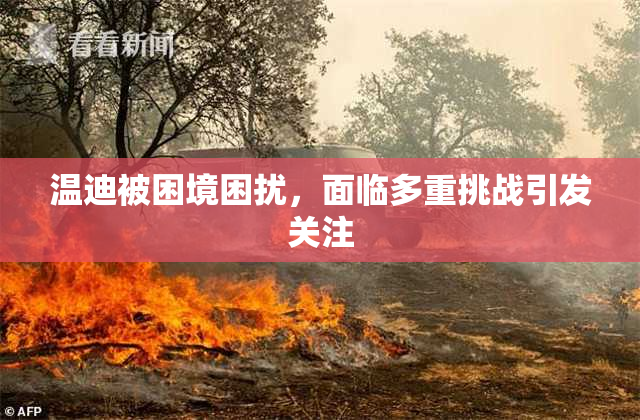 温迪被困境困扰，面临多重挑战引发关注
