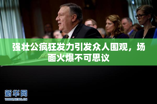 强壮公疯狂发力引发众人围观，场面火爆不可思议
