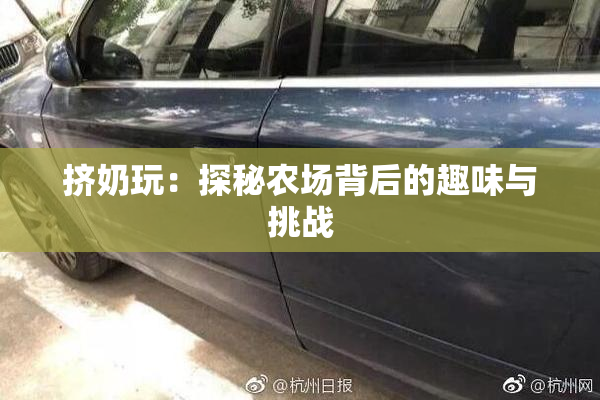 挤奶玩：探秘农场背后的趣味与挑战