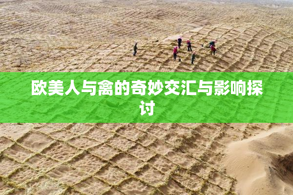 欧美人与禽的奇妙交汇与影响探讨