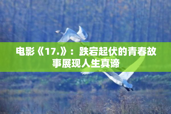 电影《17.》：跌宕起伏的青春故事展现人生真谛