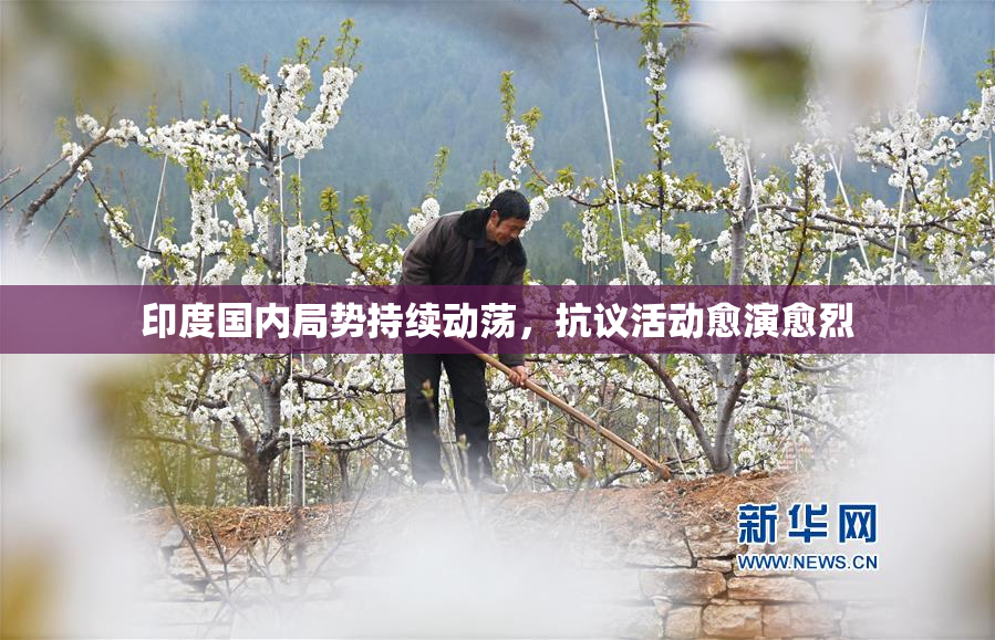 印度国内局势持续动荡，抗议活动愈演愈烈