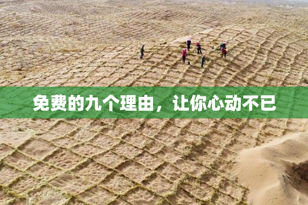 免费的九个理由，让你心动不已