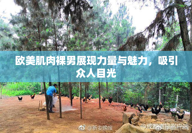 欧美肌肉裸男展现力量与魅力，吸引众人目光