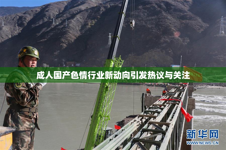 成人国产色情行业新动向引发热议与关注