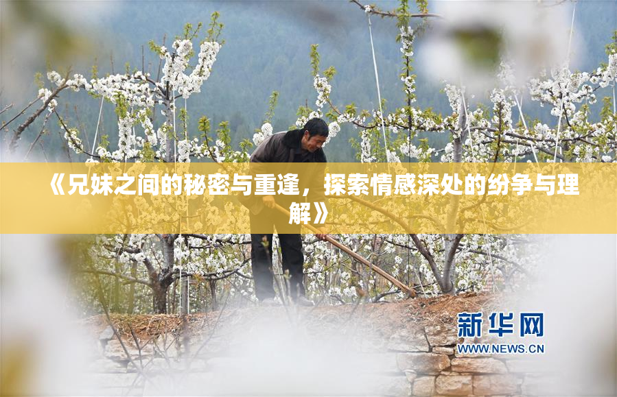 《兄妹之间的秘密与重逢，探索情感深处的纷争与理解》