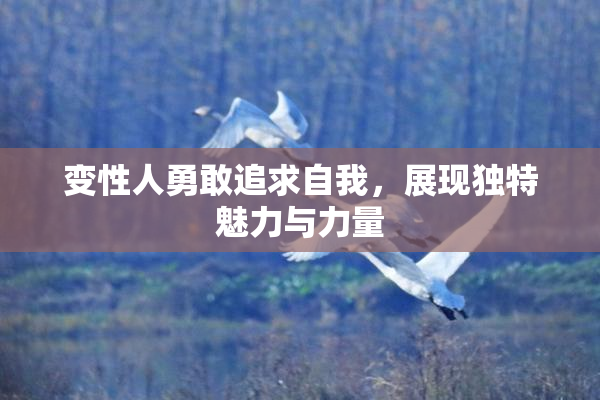 变性人勇敢追求自我，展现独特魅力与力量