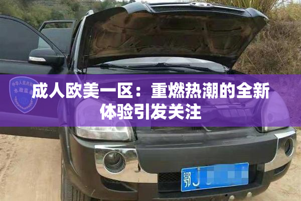 成人欧美一区：重燃热潮的全新体验引发关注